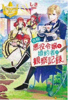 我的姐姐日漫全集 奇幻系列