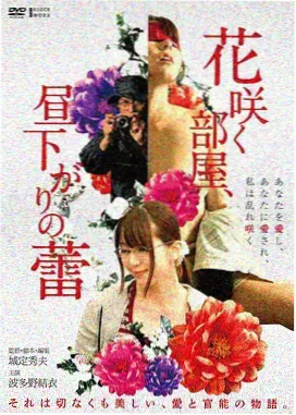 泡泡历险记